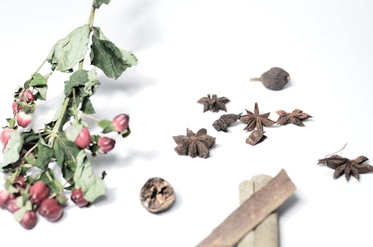 Parfémy & Hudba: Jak Vůně Zesilují Emoce z Melodií?