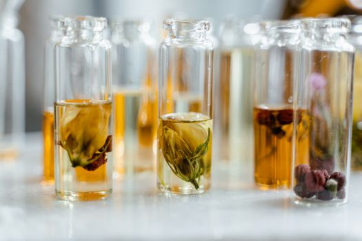 Odkrýváme Tajemství Parfémů: Vliv Ingrediencí na Vaši Vůni